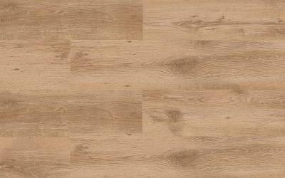 CACAU